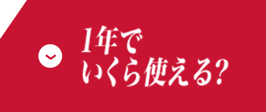1年でいくら使える?