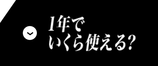 1年でいくら使える?