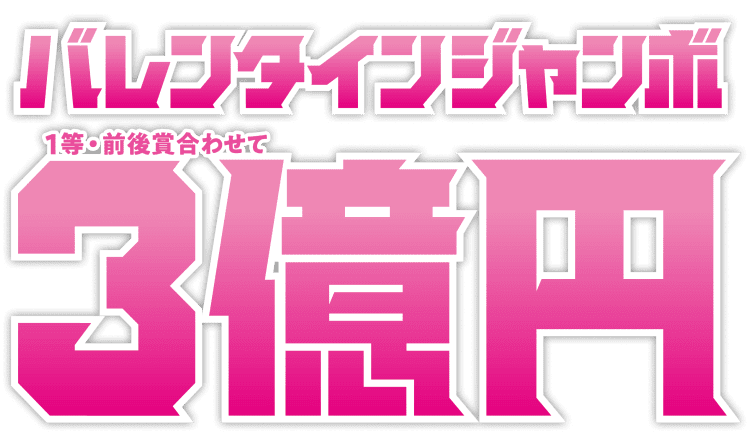 希望者のみラッピング無料】 さんこ様専用ジャンボ2台セット 文房具