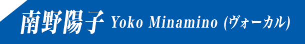 南野陽子 Yoko Minamino (ヴォーカル)