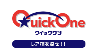 クイックワン（第215回）の券面