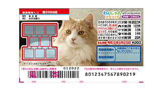 わんにゃんスクラッチ ノルウェージャンフォレストキャット2 ラッキースラッシュの画像