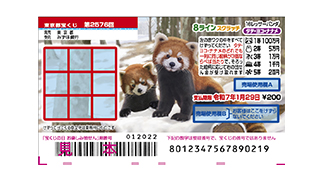 8ラインスクラッチ 16レッサーパンダ タテ・ヨコ・ナナメの画像