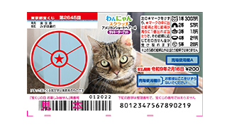 わんにゃんスクラッチ アメリカンショートヘアー4 ラッキーターゲットの画像