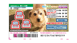 わんにゃんスクラッチ ノーフォーク・テリア2 ハッピーバルコニーの画像
