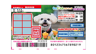 わんにゃんスクラッチ いぬ・ミックス ラッキートライアルの画像