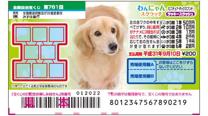 今月の「わんにゃんスクラッチ」は、人気のミニチュア・ダックスフンド♪