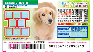 今月の「わんにゃんスクラッチ」は、人気のミニチュア・ダックスフンド♪