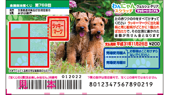 「わんにゃんスクラッチ」はウェルシュ・テリア！
