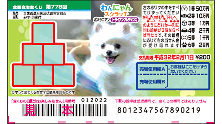 「わんにゃんスクラッチ」はポメラニアン！