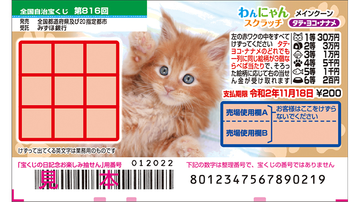 今月の「わんにゃんスクラッチ」はメインクーン♪