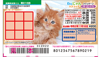 今月の「わんにゃんスクラッチ」はメインクーン♪