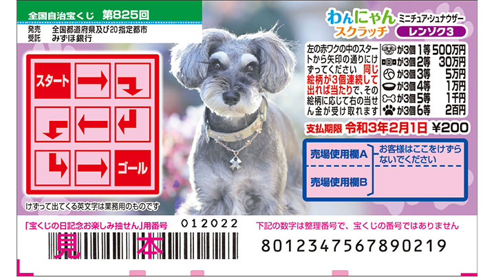 今月の「わんにゃんスクラッチ」はミニチュア・シュナウザー♪