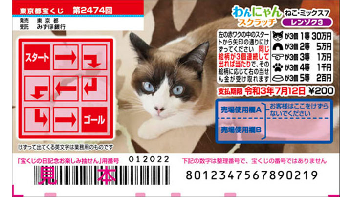 今月の「わんにゃんスクラッチ」はねこ・ミックス