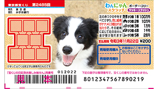 今月の「わんにゃんスクラッチ」はボーダー・コリー♪