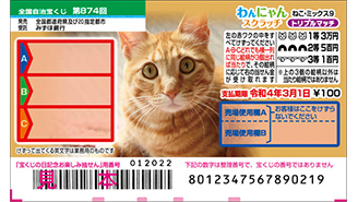 今月の「わんにゃんスクラッチ」はねこ・ミックス♪