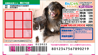 今月の「わんにゃんスクラッチ」はミニチュア・ダックスフンド＆ねこ・ミックス♪