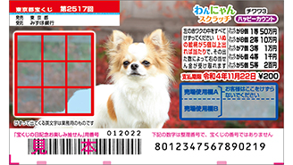 今月の「わんにゃんスクラッチ」はチワワとサイベリアン♪