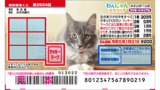 今月の「わんにゃんスクラッチ」はメインクーン♪