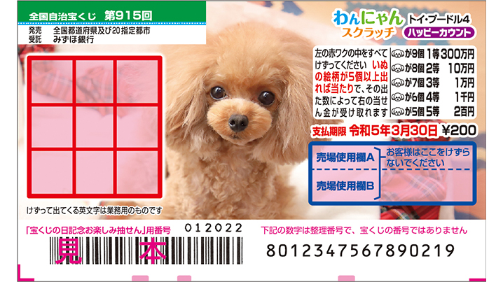 今月の「わんにゃんスクラッチ」はトイ・プードル♪