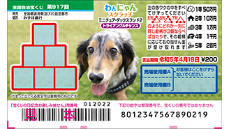 今月の「わんにゃんスクラッチ」はミニチュア・ダックスフンドとベンガル♪