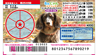 今月の「わんにゃんスクラッチ」はミニチュア・ダックスフンドとアメリカンショートヘア♪