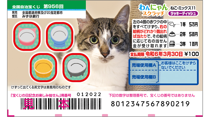 今月の「わんにゃんスクラッチ」はねこ・ミックス♪