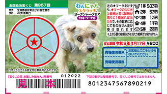 今月の「わんにゃんスクラッチ」はヨークシャー・テリアとアメリカンカ―ル♪