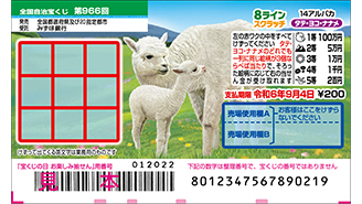 8ラインスクラッチが31日（水）から発売！