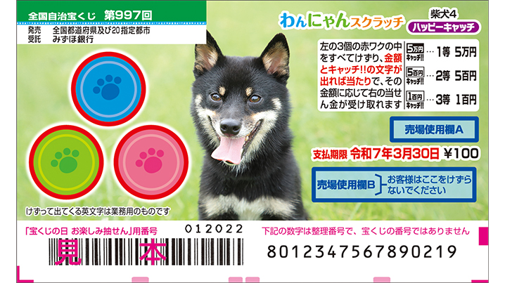 今月の「わんにゃんスクラッチ」は柴犬♪