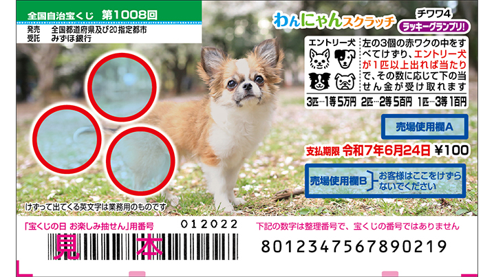 今月の「わんにゃんスクラッチ」はチワワ♪