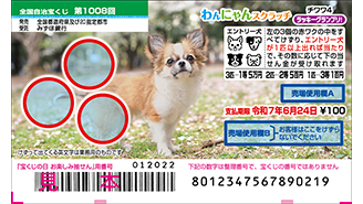 今月の「わんにゃんスクラッチ」はチワワ♪