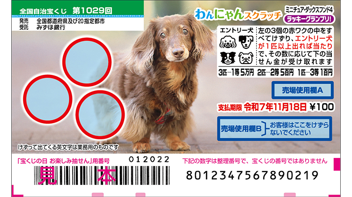 今月の「わんにゃんスクラッチ」はミニチュア・ダックスフンド♪