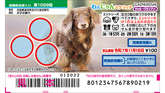 今月の「わんにゃんスクラッチ」はミニチュア・ダックスフンド♪