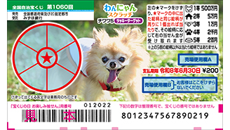 今月の「わんにゃんスクラッチ」はチワワ♪