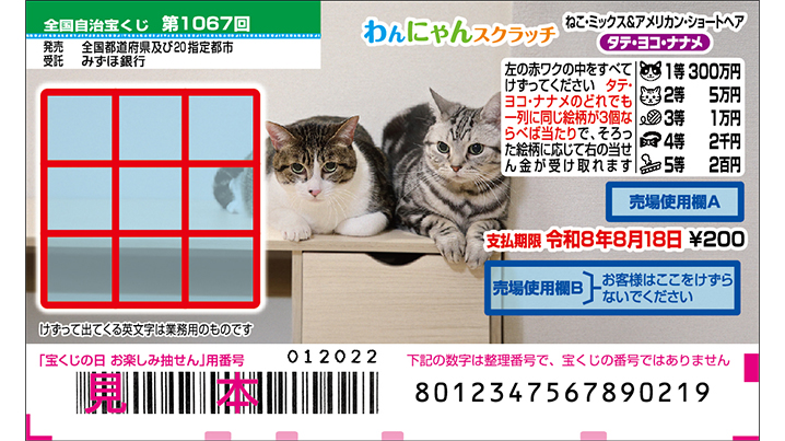 今月の「わんにゃんスクラッチ」はねこ・ミックス＆アメリカン・ショートへア♪