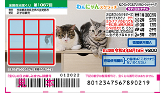 今月の「わんにゃんスクラッチ」はねこ・ミックス＆アメリカン・ショートへア♪