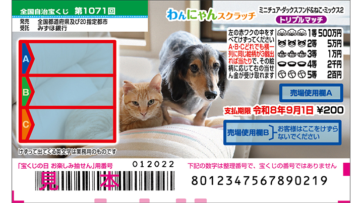 今月の「わんにゃんスクラッチ」はミニチュア・ダックスフンド＆ねこ・ミックス♪