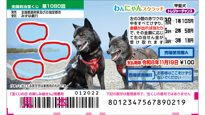今月の「わんにゃんスクラッチ」は甲斐犬♪