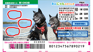今月の「わんにゃんスクラッチ」は甲斐犬♪