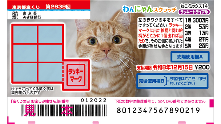 今月の「わんにゃんスクラッチ」はねこ・ミックスと柴犬＆マンチカン♪