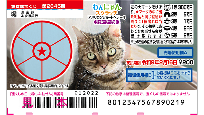 今月の「わんにゃんスクラッチ」はアメリカンショートヘアー♪