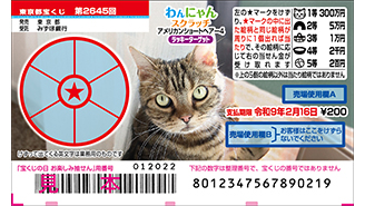 今月の「わんにゃんスクラッチ」はアメリカンショートヘアー♪