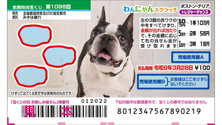 今月の「わんにゃんスクラッチ」はボストン・テリア♪