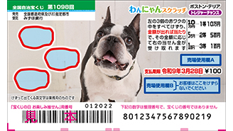 今月の「わんにゃんスクラッチ」はボストン・テリア♪