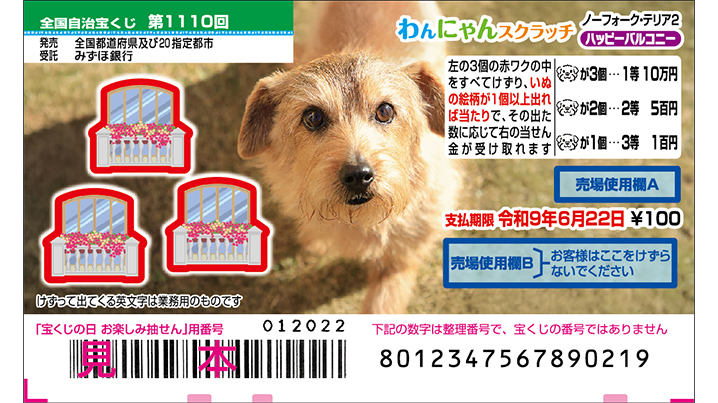 今月の「わんにゃんスクラッチ」はノーフォーク・テリア♪