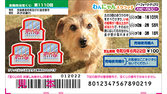 今月の「わんにゃんスクラッチ」はノーフォーク・テリア♪