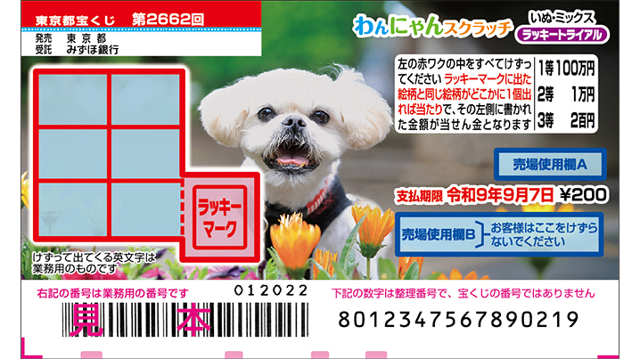 今月の「わんにゃんスクラッチ」は2種類、ねこ・ミックスといぬ・ミックス！