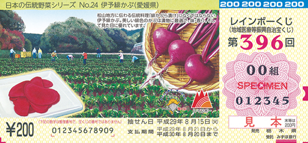 第396回（喜屋武 稔 画／「日本の伝統野菜シリーズNo.24 伊予緋かぶ（愛媛県）」）