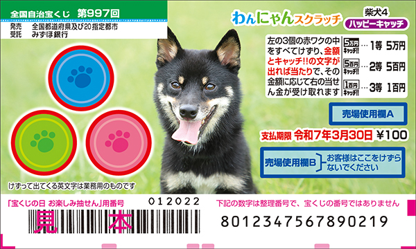 「わんにゃんスクラッチ 柴犬4 ハッピーキャッチ」（第997回 全国自治宝くじ）